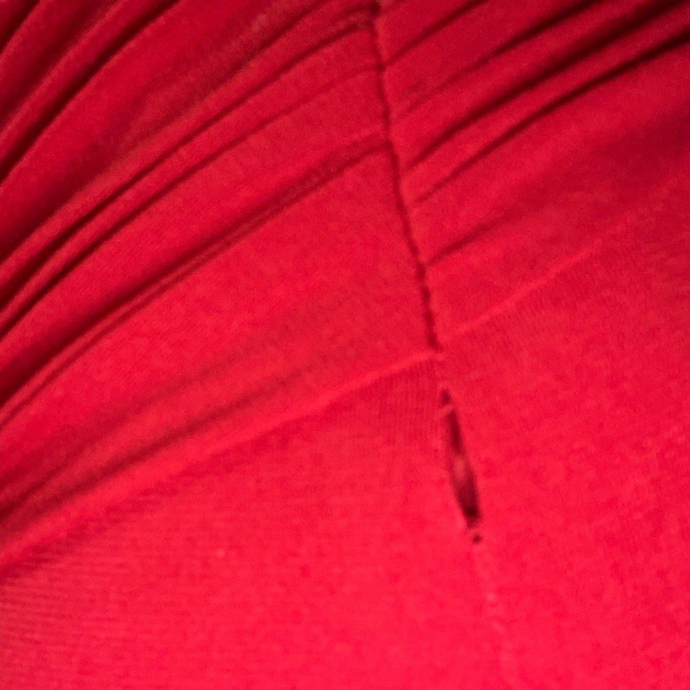 Cache Party Gown - image 7